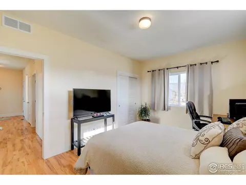 509 Prairie Clover Way, Severance, CO 80550 photo 16