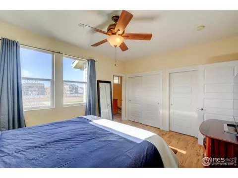509 Prairie Clover Way, Severance, CO 80550 photo 23