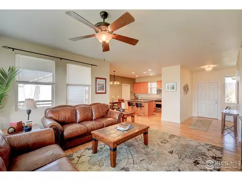 509 Prairie Clover Way, Severance, CO 80550 photo 7