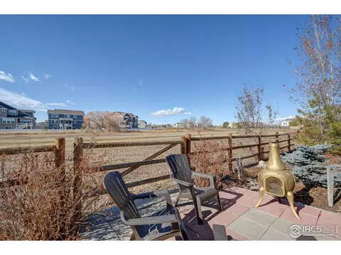509 Prairie Clover Way, Severance, CO 80550 photo 30