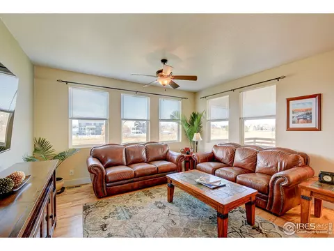 509 Prairie Clover Way, Severance, CO 80550 photo 5