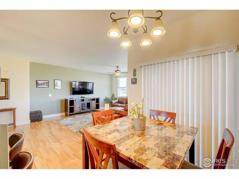 509 Prairie Clover Way, Severance, CO 80550 photo 11
