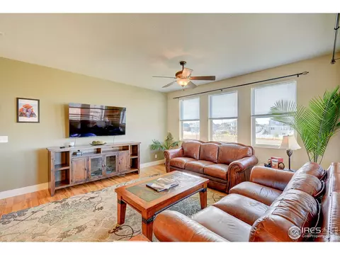 509 Prairie Clover Way, Severance, CO 80550 photo 8