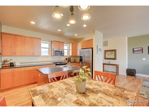 509 Prairie Clover Way, Severance, CO 80550 photo 9