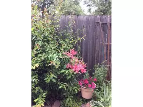1195 Oakdale Pl, Boulder, CO 80304 photo 16