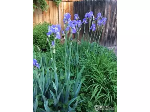 1195 Oakdale Pl, Boulder, CO 80304 photo 14