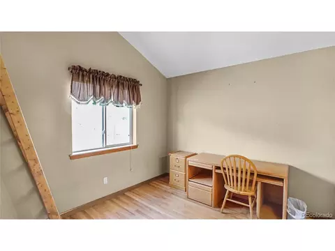 344 N Pine Dr, Bailey, CO 80421 photo 12