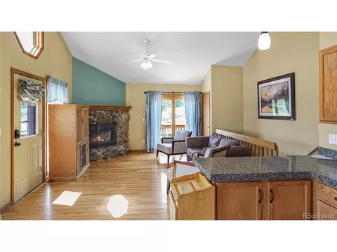 344 N Pine Dr, Bailey, CO 80421 photo 6