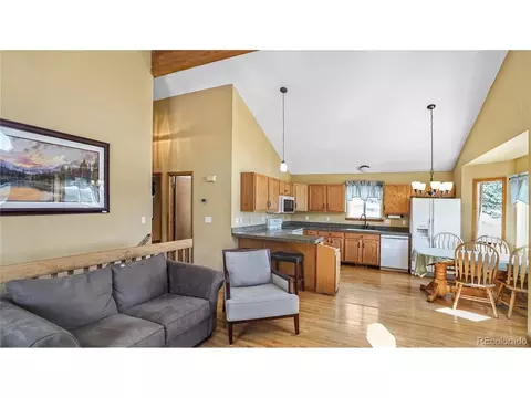 344 N Pine Dr, Bailey, CO 80421 photo 7