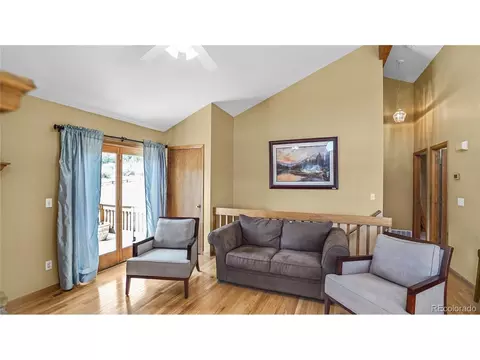 344 N Pine Dr, Bailey, CO 80421 photo 5