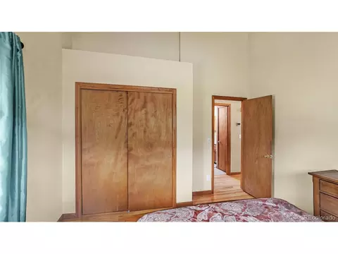 344 N Pine Dr, Bailey, CO 80421 photo 9