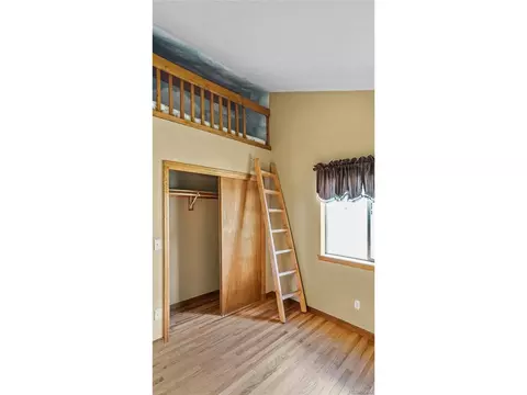 344 N Pine Dr, Bailey, CO 80421 photo 13