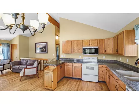 344 N Pine Dr, Bailey, CO 80421 photo 2