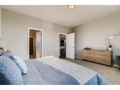 1670 Shoreview Pkwy, Windsor, CO 80550 photo 16
