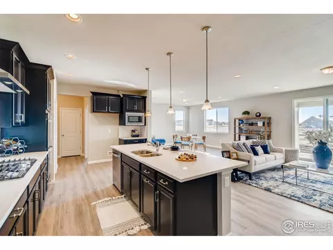 1670 Shoreview Pkwy, Windsor, CO 80550 photo 10