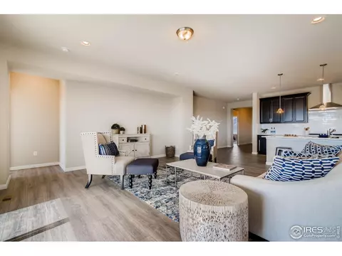 1670 Shoreview Pkwy, Windsor, CO 80550 photo 6