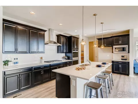 1670 Shoreview Pkwy, Windsor, CO 80550 photo 11