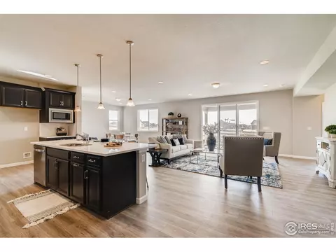 1670 Shoreview Pkwy, Windsor, CO 80550 photo 24
