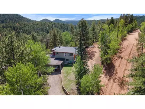 50 Smith St, Bailey, CO 80421 photo 23