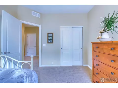 16631 Trinity Loop, Broomfield, CO 80023 photo 28