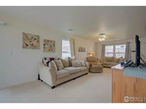 20425 E 55th Pl, Denver, CO 80249 photo 11