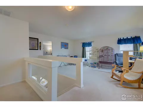 20425 E 55th Pl, Denver, CO 80249 photo 22