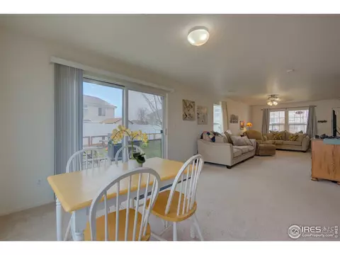20425 E 55th Pl, Denver, CO 80249 photo 15
