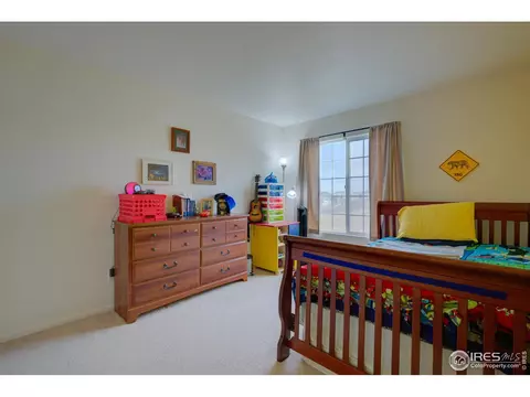 20425 E 55th Pl, Denver, CO 80249 photo 34