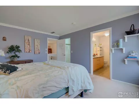 20425 E 55th Pl, Denver, CO 80249 photo 29