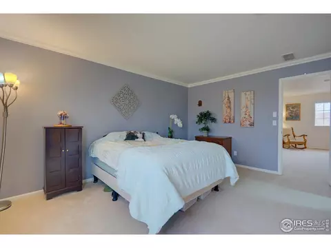 20425 E 55th Pl, Denver, CO 80249 photo 26