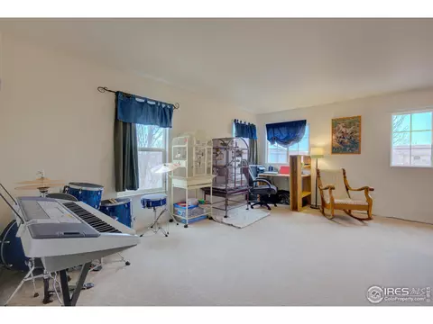 20425 E 55th Pl, Denver, CO 80249 photo 23