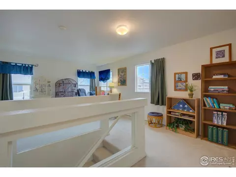 20425 E 55th Pl, Denver, CO 80249 photo 21