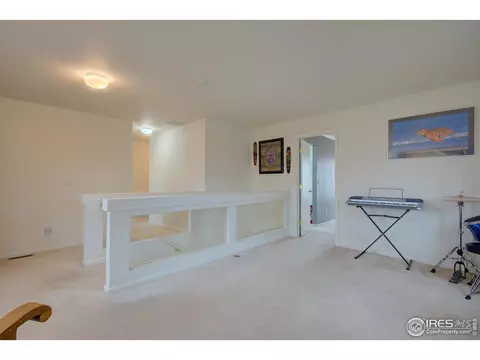 20425 E 55th Pl, Denver, CO 80249 photo 25