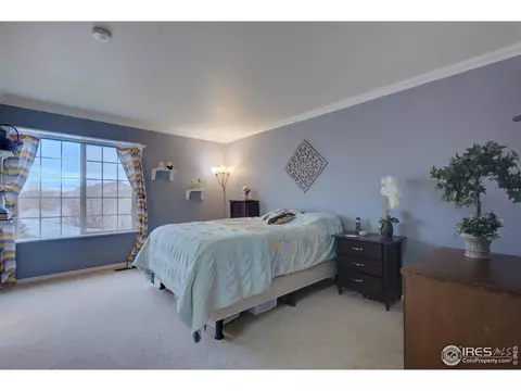 20425 E 55th Pl, Denver, CO 80249 photo 27