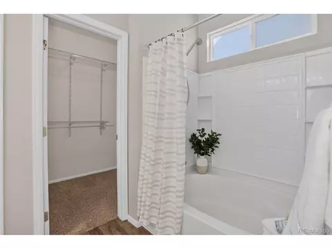 Other - 2254 Broadleaf Loop, Castle Rock, CO 80109 photo 6 of 11