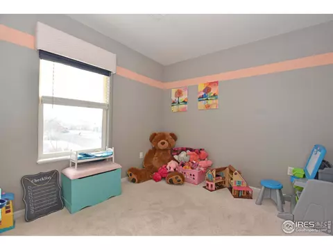3413 Pheasant Ct, Evans, CO 80620 photo 25