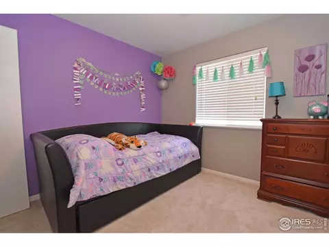3413 Pheasant Ct, Evans, CO 80620 photo 24