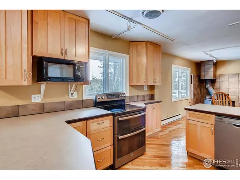 103 Silver Rd, Black Hawk, CO 80422 photo 7