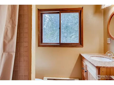 103 Silver Rd, Black Hawk, CO 80422 photo 15