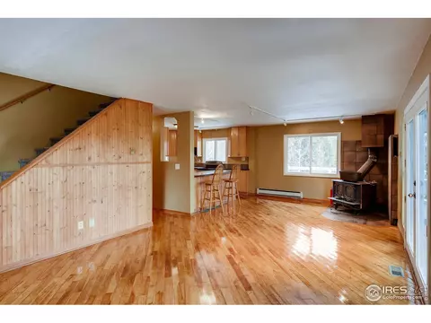 103 Silver Rd, Black Hawk, CO 80422 photo 10
