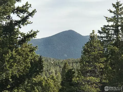 103 Silver Rd, Black Hawk, CO 80422 photo 30