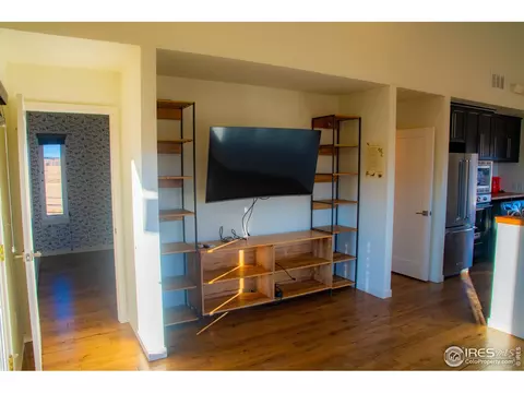 14445 Gratitude Rd, Laporte, CO 80535 photo 19