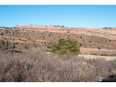 14445 Gratitude Rd, Laporte, CO 80535 photo 4