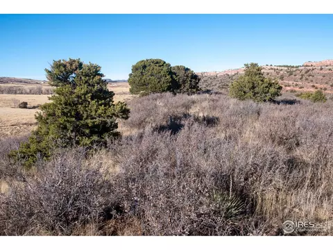 14445 Gratitude Rd, Laporte, CO 80535 photo 5