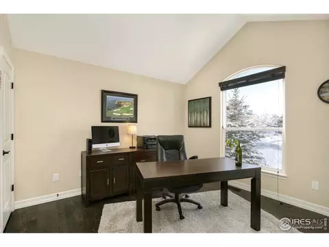 6166 Chesney Ct, Windsor, CO 80550 photo 18