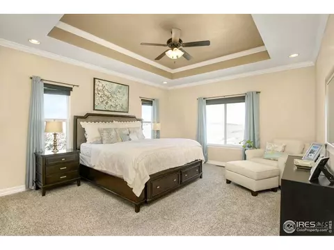 6166 Chesney Ct, Windsor, CO 80550 photo 15