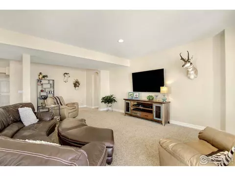 6166 Chesney Ct, Windsor, CO 80550 photo 29