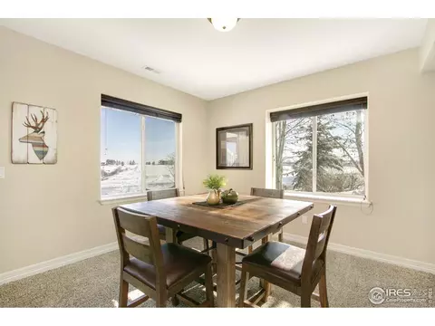 6166 Chesney Ct, Windsor, CO 80550 photo 25