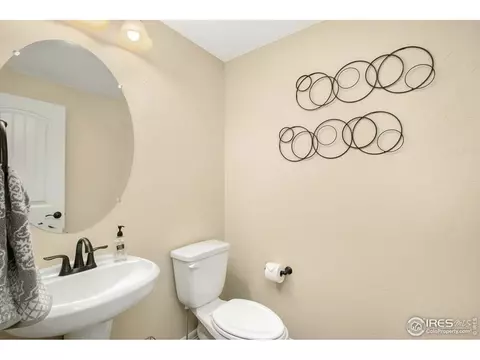 6166 Chesney Ct, Windsor, CO 80550 photo 19