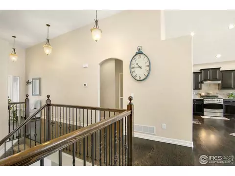 6166 Chesney Ct, Windsor, CO 80550 photo 20